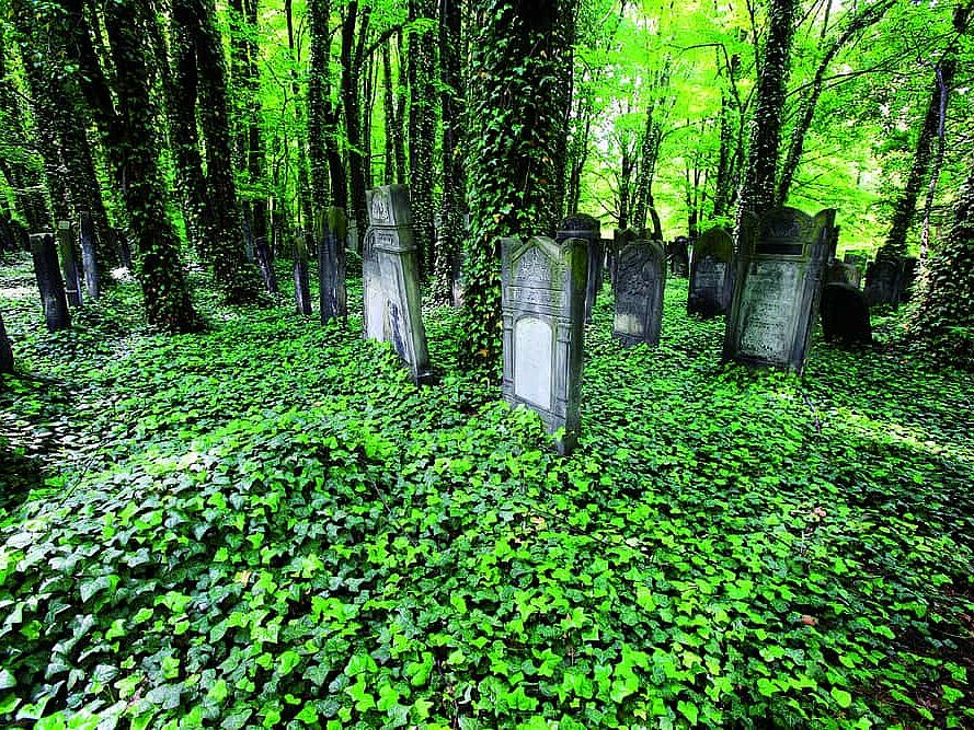 Еврейское кладбище , fot. z archiwum UMŁ