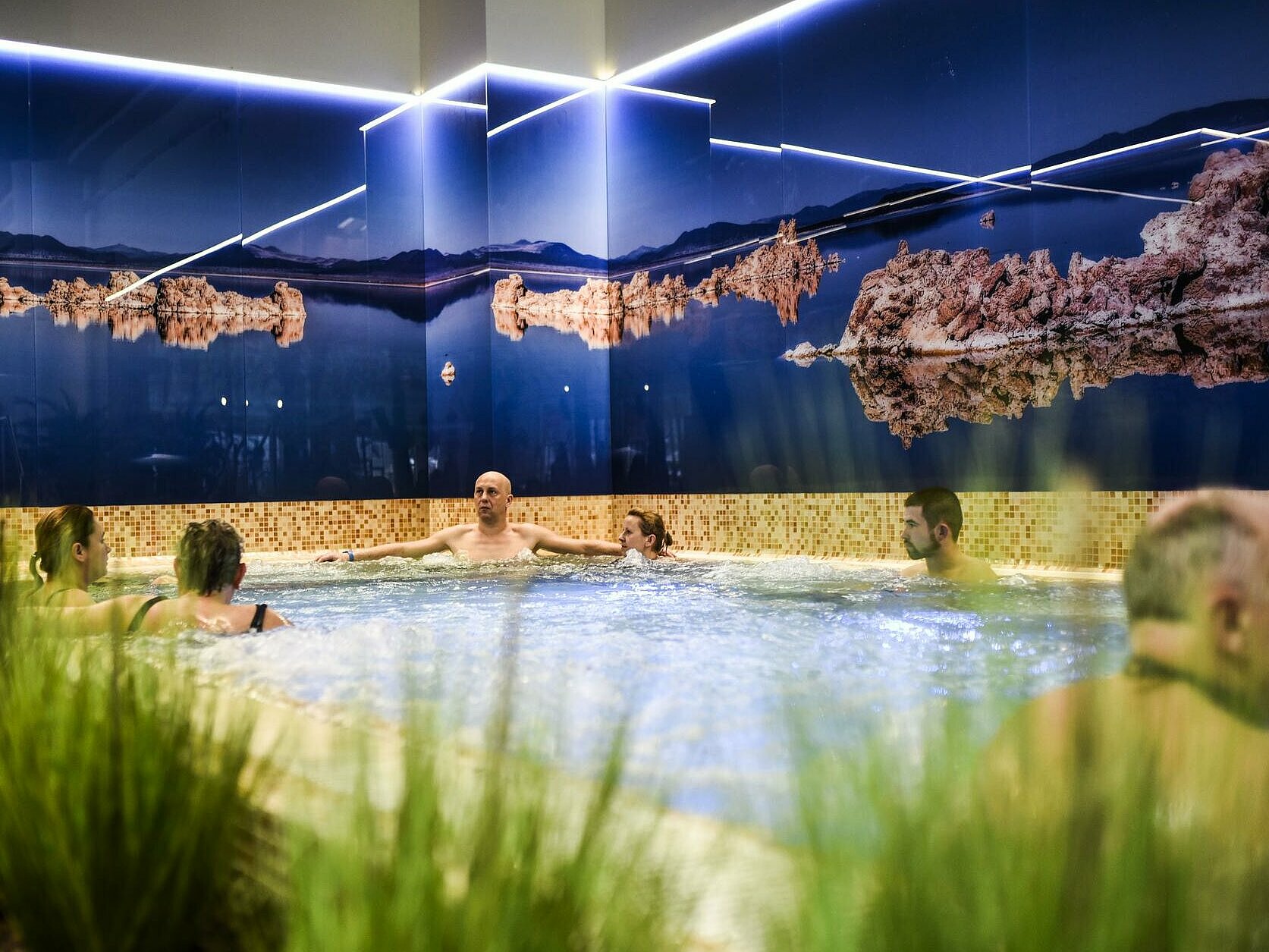 Аквапарк FALA , Basen solankowy, na pierwszym planie zielona roślinność w donicach dookoła krawędzi basenu. W basenie kilka osób odwróconych od obiektywu, na ścianach dookoła basenu fototapeta za szkłem z widokiem Morza Martwego.
