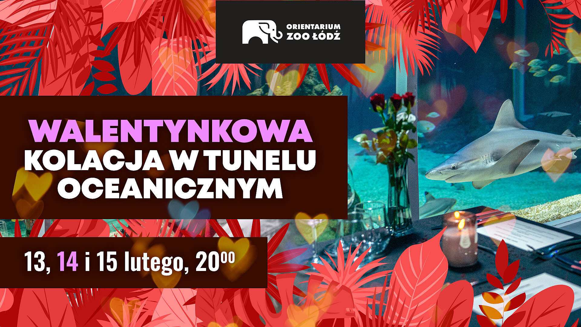  , orientarium walentynki