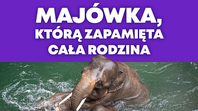  -  majówka w zoo