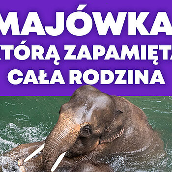 majówka w zoo