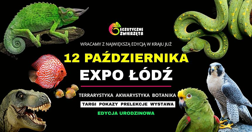 Weekend magii i natury w EXPO Łódź