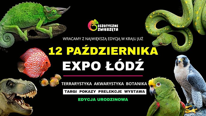  -  Weekend magii i natury w EXPO Łódź