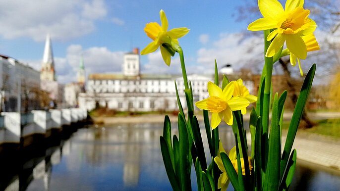 Centralne Muzeum Włókiennictwa  
