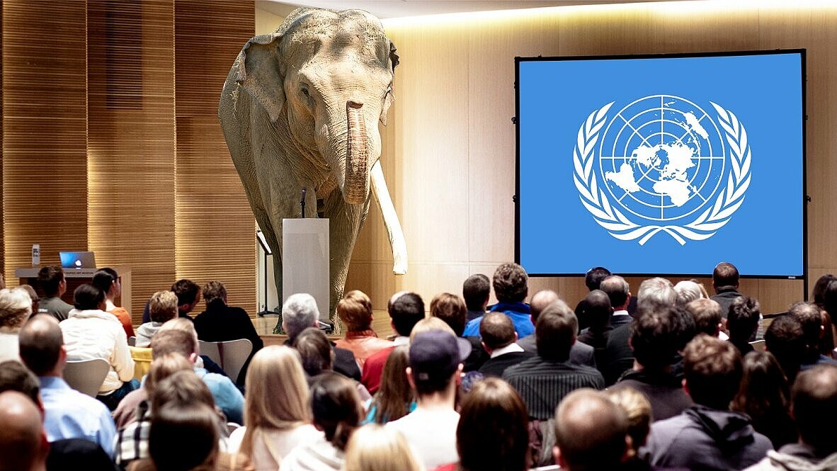 Słoń na forum ONZ w Madrycie 