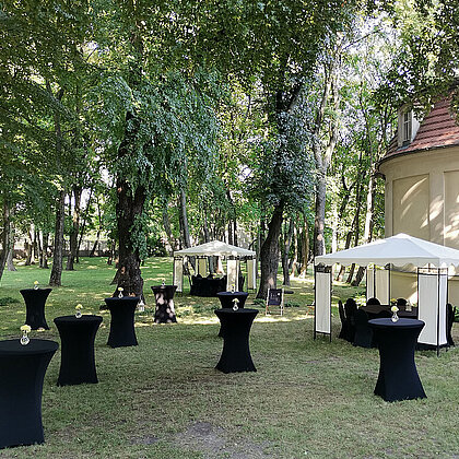  , Pałac Biedermanna