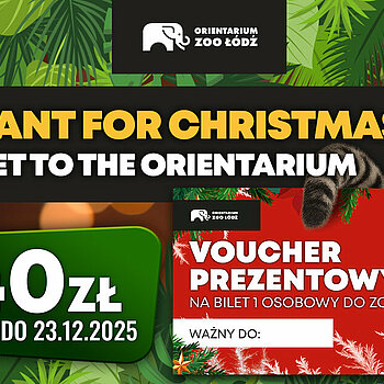 vouchery prezentowe w Orientarium Zoo Łódź