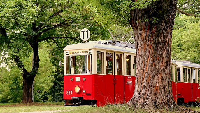 Łódzkie Linie Turystyczne -  fot. P. Miłek