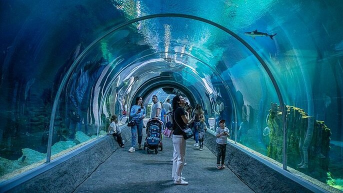  -  majowka 2025 orientarium zoo lodz