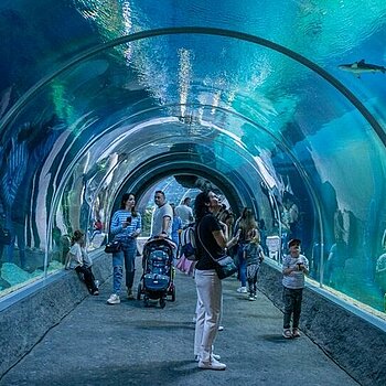 majowka 2025 orientarium zoo lodz