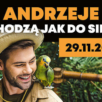 zoo andrzejki lodz