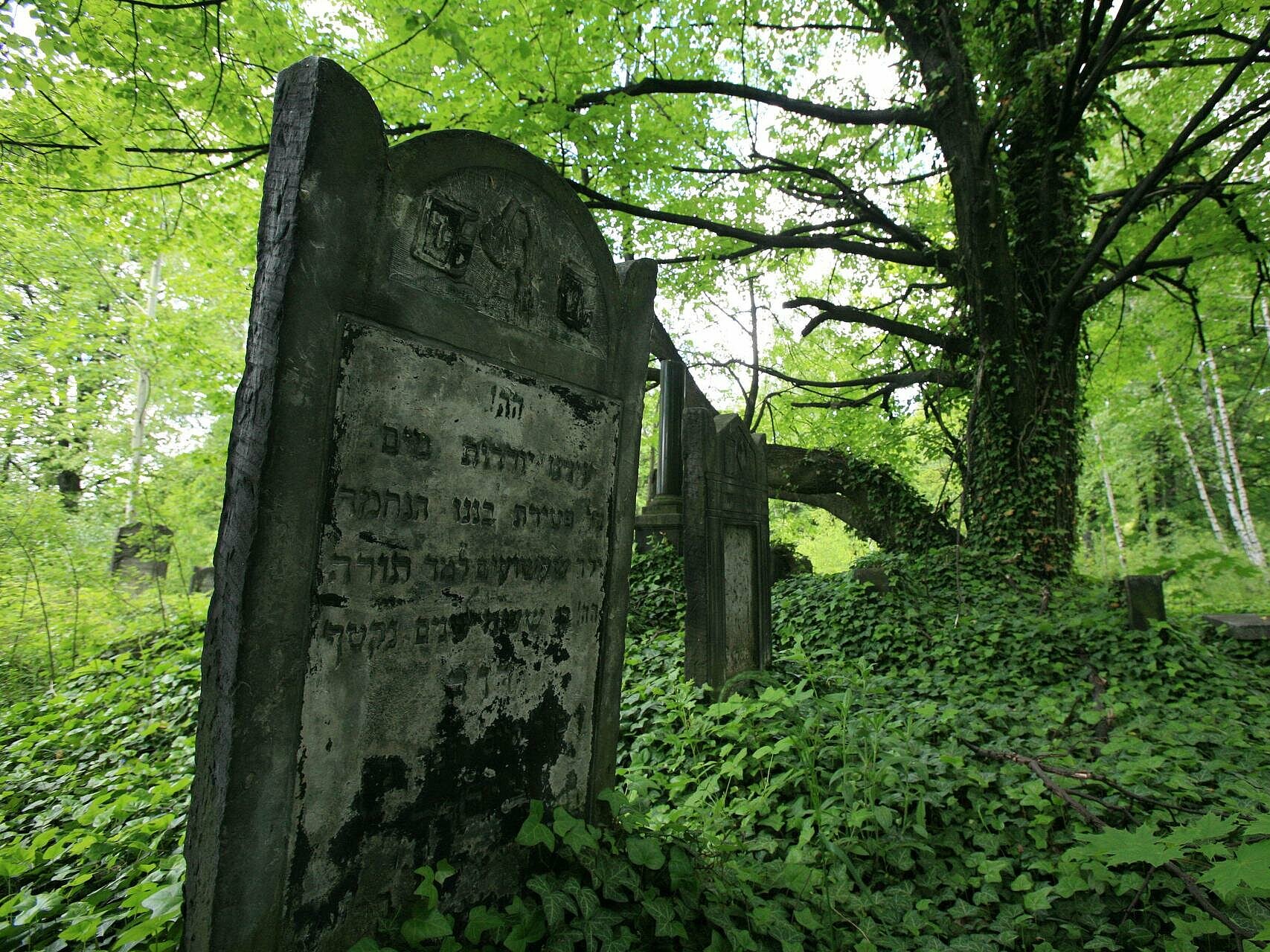 Cmentarz Żydowski , fot. A. Wach
