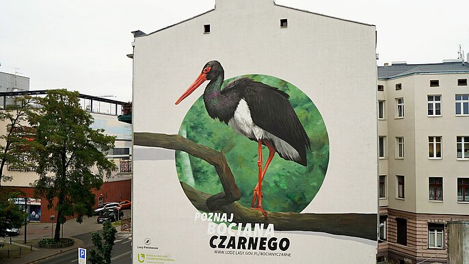 Mural z bocianem czarnym  