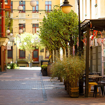  , https://www.instagram.com/piotrkowska89/ 