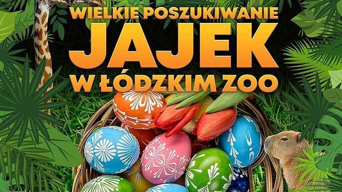  -  wielkanoc zoo lodz orientarium