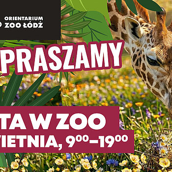 Wiosna Orientarium ZOO Łódź