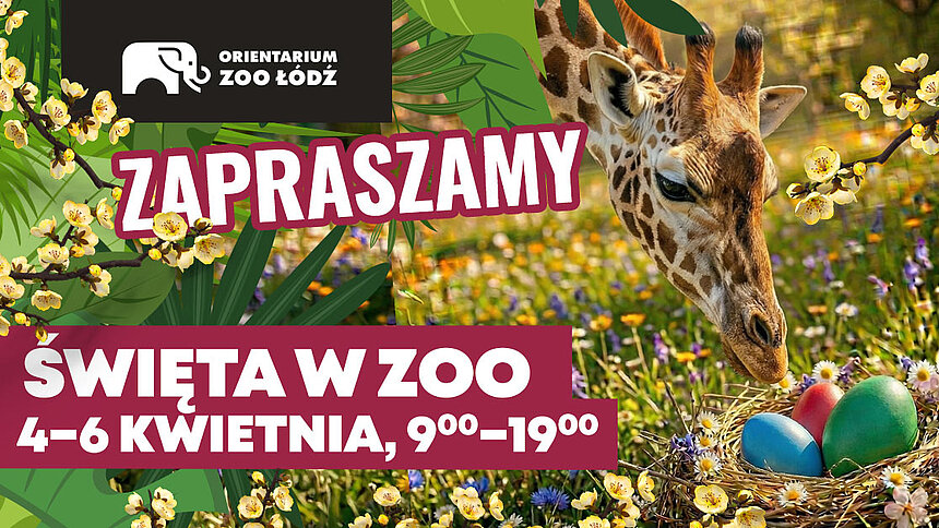Wiosna Orientarium ZOO Łódź