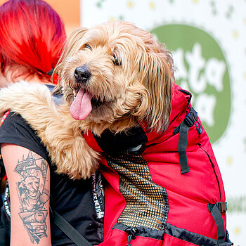 Psi Targ Manufaktura Łódź