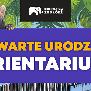 4. urodziny Orientarium ZOO Łódź