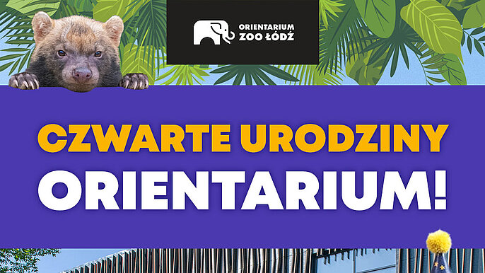  -  4. urodziny Orientarium ZOO Łódź