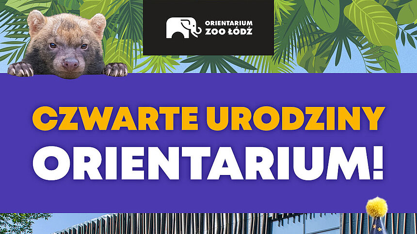 4. urodziny Orientarium ZOO Łódź