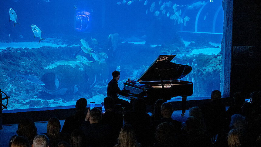 Maciej Tubis Orientarium