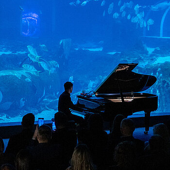 Maciej Tubis Orientarium