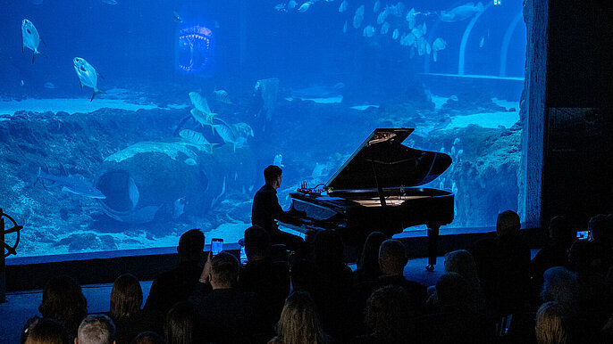  -  Maciej Tubis Orientarium