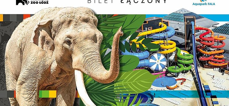 bilet laczony aquapark zoo