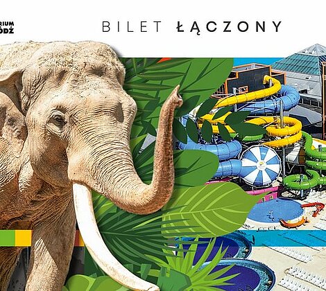 [Translate to Rosyjski:] bilet laczony aquapark zoo