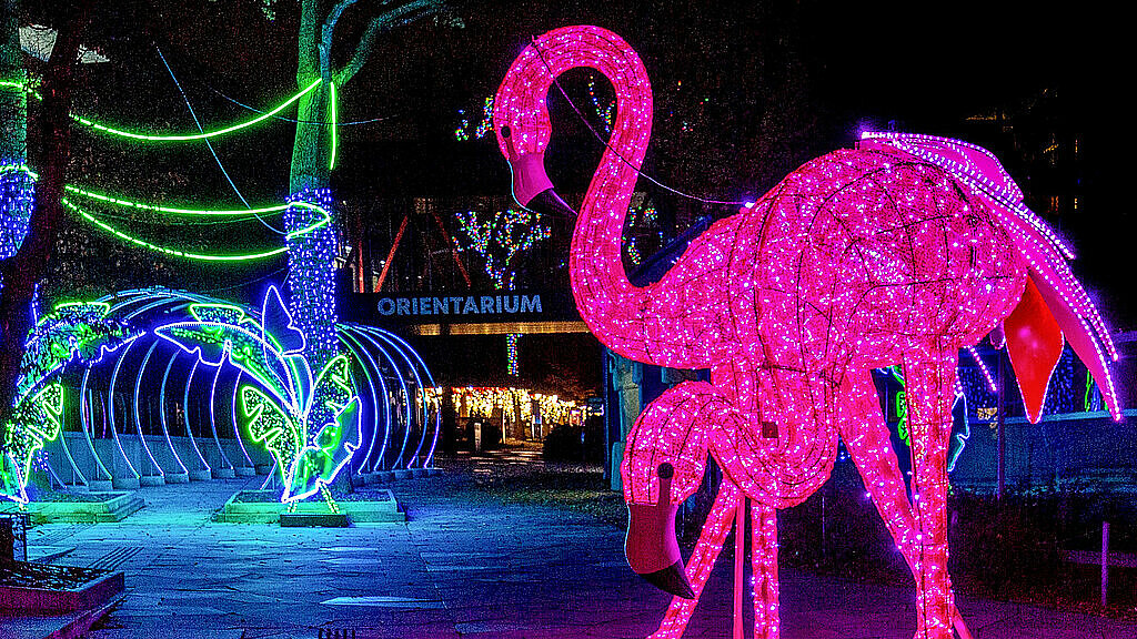  , park miliona świateł lodz