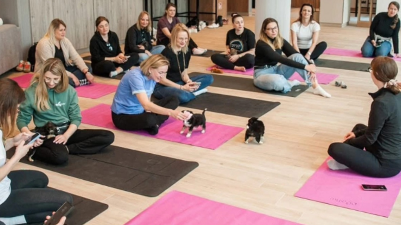 Puppy Joga