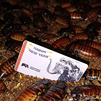 karta roczna do Orientarium ZOO Łódź