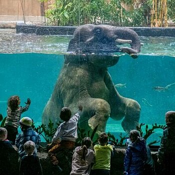 orientarium zoo lodz