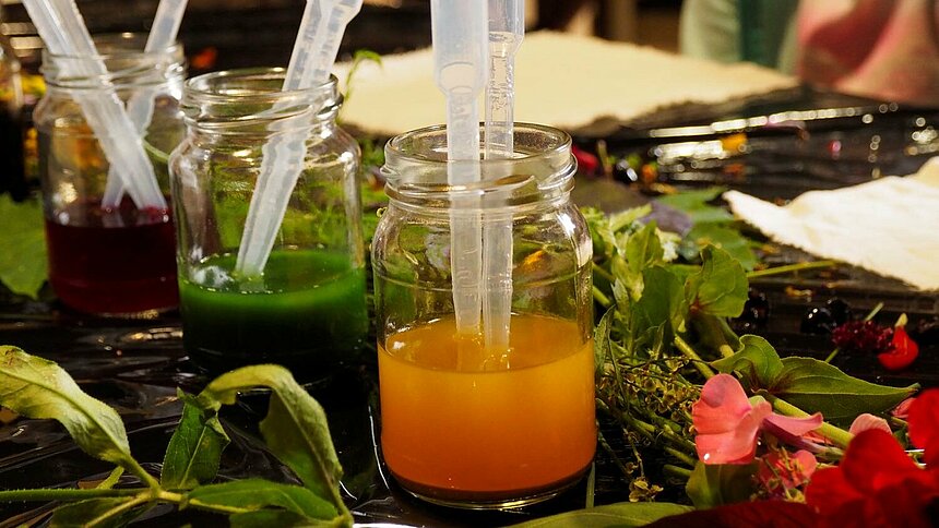 ogrod botaniczny lodz