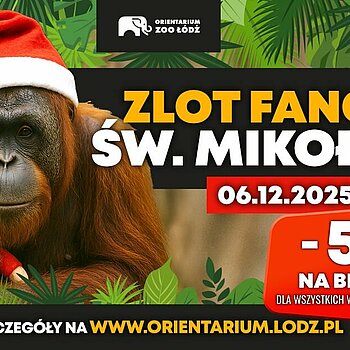 Zlot Fanów Świętego Mikołaja w Orientarium Zoo Łódź