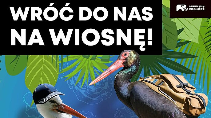  -  zoo orientarium