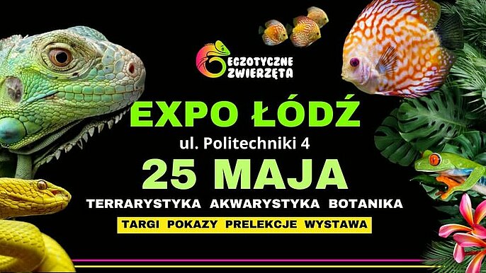  -  EGZOTYCZNE ZWIERZĘTA lodz