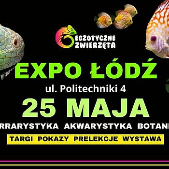 EGZOTYCZNE ZWIERZĘTA lodz