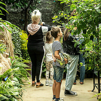 ogród botaniczny łódź palmiarnia