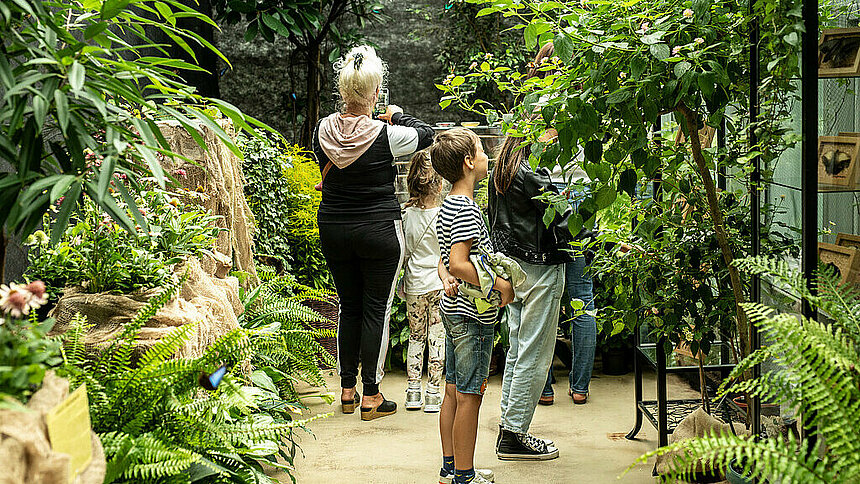 ogród botaniczny łódź palmiarnia