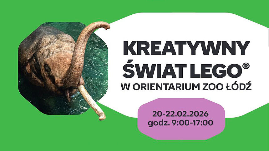 Lego ZOO Łódź