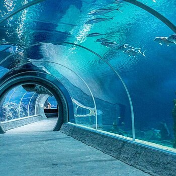 vip zoo lodz