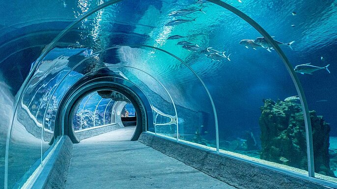  -  vip zoo lodz