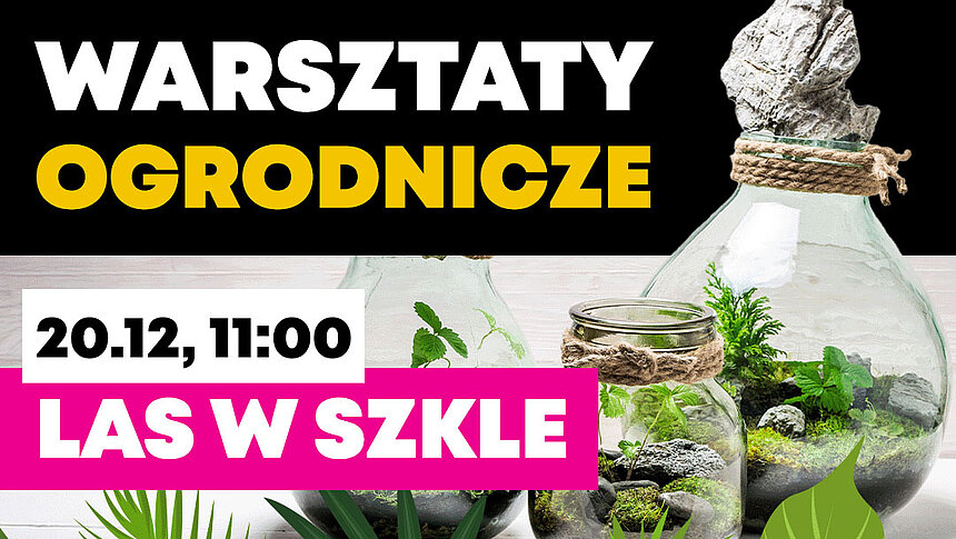 Las w szkle lodz