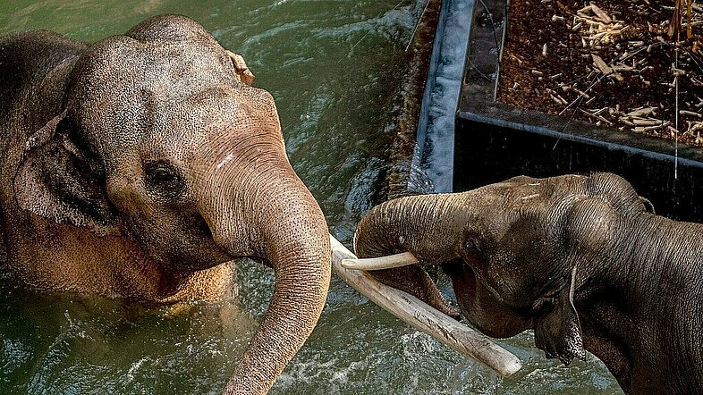 orientarium zoo lodz