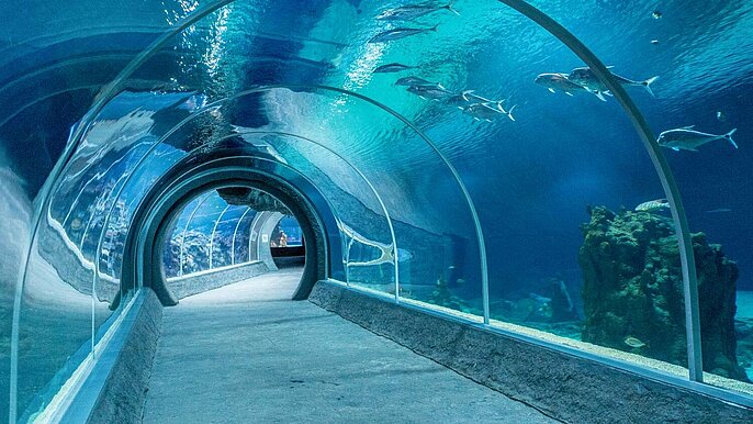  -  Wieczór spokoju i regeneracji w Orientarium ZOO Łódź