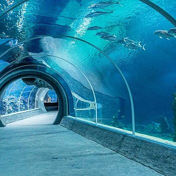 Wieczór spokoju i regeneracji w Orientarium ZOO Łódź