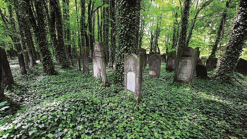 Cmentarz Żydowski w Łodzi 