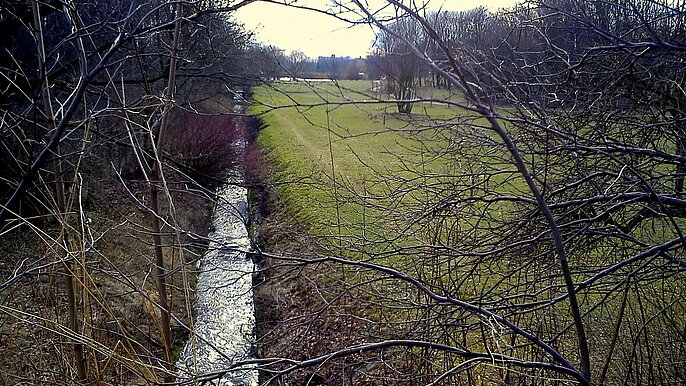 Park nad Jasieniem -  fot. K. Olkusz